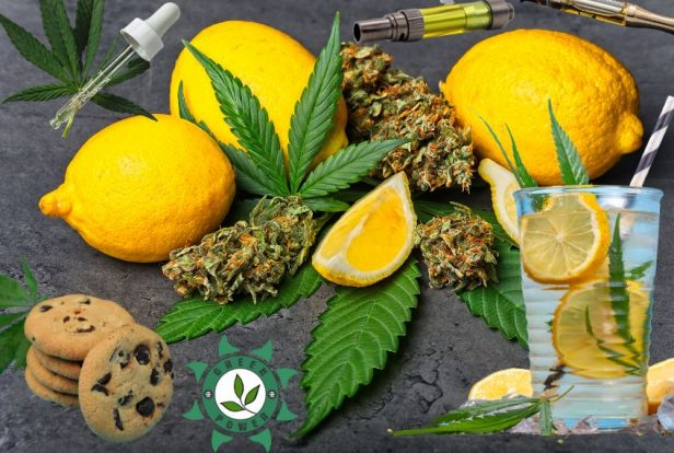 Terpenos de Cannabis 6 dicas de uso e benefícios essenciais