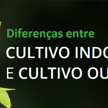 diferenças entre cultivo indoor e cultivo outdoor
