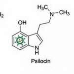 psilocina psilocibina serotonina green power