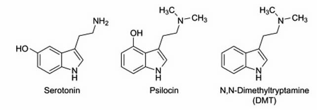 psilocina-serotonina
