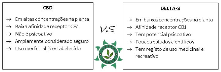 delta-8 thc versus cbd