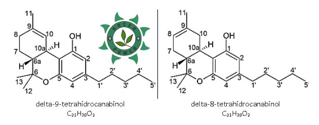 delta-8 thcs versus delta-9 thc