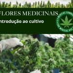 Ebook Cultivo Indoor: Aprenda os Primeiros Passos para Cultivar em Casa