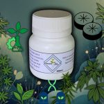 Gel Selador para Clonagem: Proteção e Enraizamento em Um Só Produto