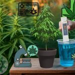 Medidor de EC no Cultivo de Cannabis, guia definitivo!