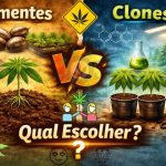 Sementes vs Clones de Cannabis: Qual Escolher? Vantagens e Desvantagens