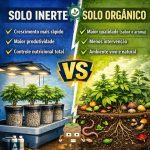 Solo orgânico vs inerte no cultivo indoor: qual entrega mais resultado?