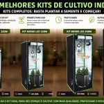 Kit Grow Indoor, os 3 melhores kits de cultivo para plantar em casa