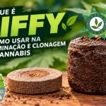 Célula de Germinação Jiffy, como utilizar no cultivo de cannabis